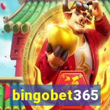 bingobet365